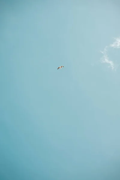 Stettin 'de mavi gökyüzü