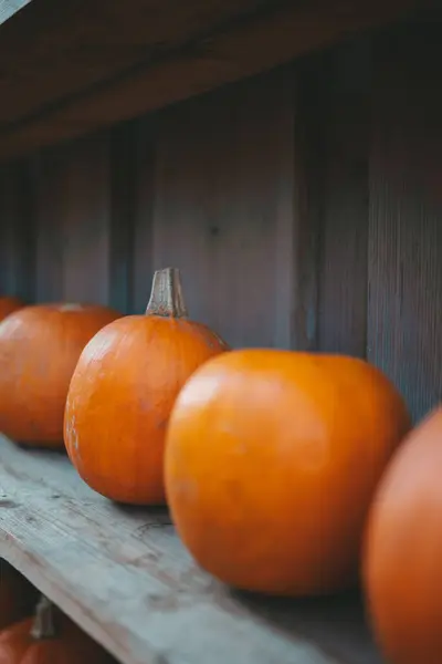 Tahta bir rafta kabaklar