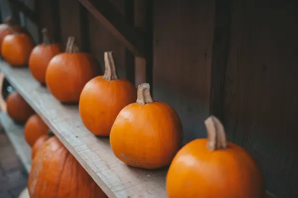 Tahta bir rafta kabaklar