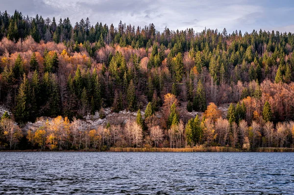 stock image Landscape with mountain, lake and trees in autumn. Lac Brenet. Vallee de Joux, Vaud Canton, Switzerland