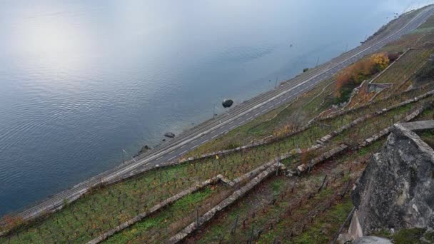 Lanskap Dengan Danau Jalan Dan Kebun Anggur Real Time Dari — Stok Video