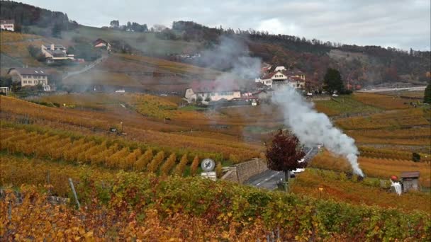Foglie Che Bruciano Vigna Vigneto Lavaux Montagna Con Fumo Patrimonio — Video Stock