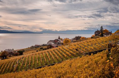 Dağlar, üzüm bağları ve göl manzarası. Lavaux üzüm bağı, binalar ve sonbaharda Geneva Gölü. UNESCO dünya mirası bölgesi sonbaharda. İsviçre.