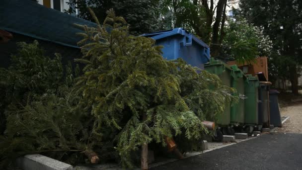 休日後にゴミ箱の横に放棄されたクリスマスツリー 生態系 廃棄物の概念 リアルタイム — ストック動画