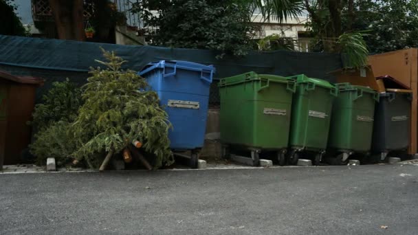 Abandoned Christmas Trees Garbage Bin Holidays Ecology Environment Waste Concept — Vídeos de Stock