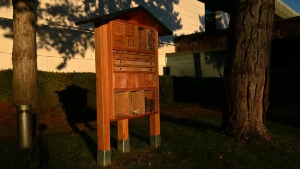 Insect House Sunlight Insect House Sunset Bug Hotel Park Switzerland — Stok video