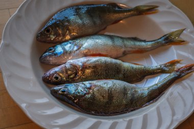 Fish in the plate. Four perches. Fresh raw food. Uncooked.