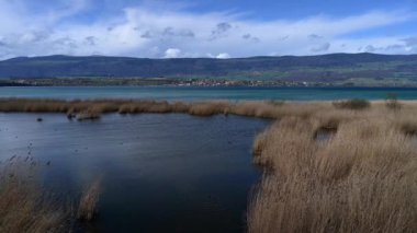 Dağ, bulutlar ve su manzarası. Neuchatel Gölü 'nde gerçek zamanlı doğa rezervi ve güneşli bir günde yüzen su kuşu. Cheseaux-Noreaz, İsviçre.