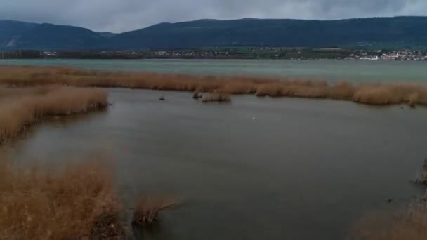 Tájkép Hegyekkel Felhőkkel Vízzel Időeltolódás Természetvédelmi Területen Neuchatel Tóban Vízimadár — Stock videók