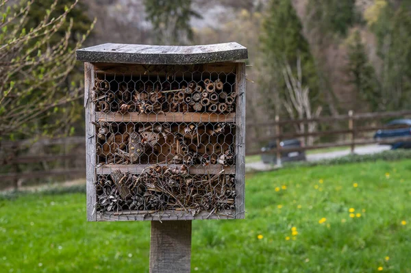 Casa Insectos Jardín Bug Hotel Parque Con Plantas Suiza Primavera —  Fotos de Stock