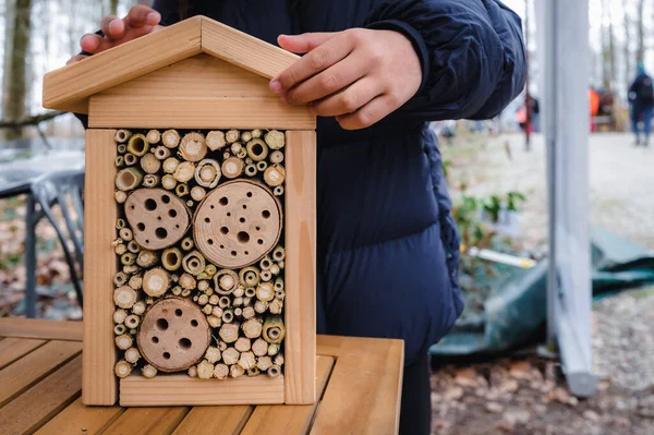 手を木製の昆虫の家を保持 テーブルの上に木製の昆虫ホテル 動物保護施設 環境保全と持続可能性 — ストック写真