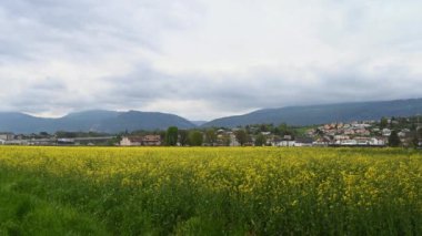 İlkbaharda kolza tohumu tarlasından geçen tren. Kırmızı ve beyaz tren, sarı çiçekler ve evler. Yverdons-les-bains, Vaud Canton, İsviçre. Zaman aşımı.