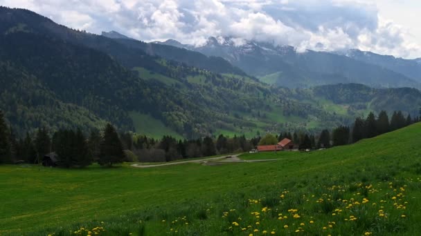 민들레가 오솔길 구름의 Les Pleiades Vaud Canton Switzerland 실시간 — 비디오