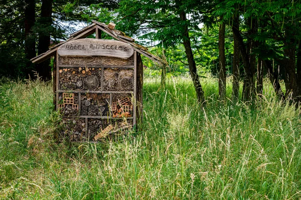Bahçedeki Böcek Evi Baharda Sviçre Bitkileri Olan Parkta Bir Tahta — Stok fotoğraf