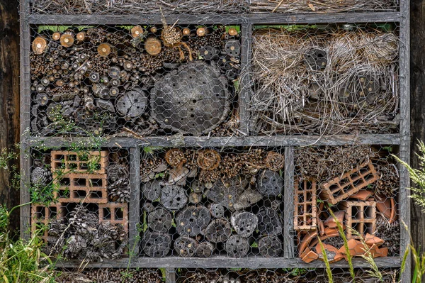 Bahçedeki Böcek Evi Baharda Sviçre Bitkileri Olan Parkta Bir Tahta — Stok fotoğraf