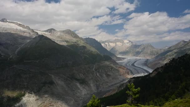 Paisaje Glaciar Montaña Bosque Caducidad Del Glaciar Aletsch Los Alpes — Vídeos de Stock