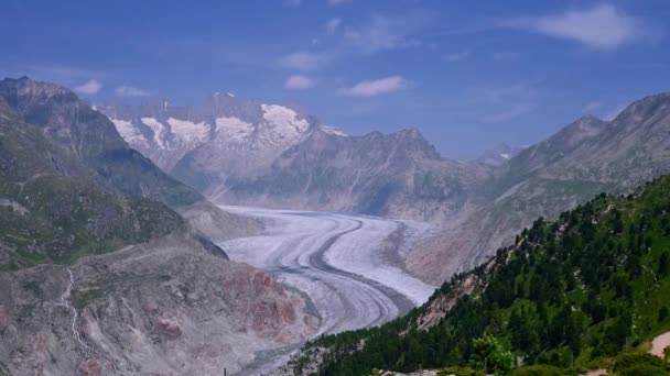 Landschap Van Gletsjer Berg Bos Real Time Van Aletsch Gletsjer — Stockvideo