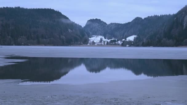 Paysage Montagne Forêt Lac Moitié Gelé Suisse Réflexion Dans Eau — Video