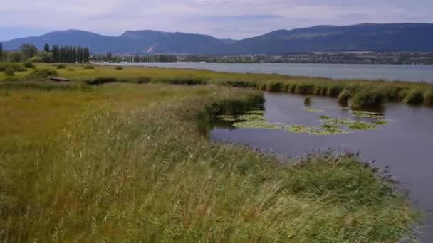 Landschaft Mit Bergen Pflanzen Und Wasser Zeitraffer Des Naturschutzgebietes Neuenburger — Stockvideo