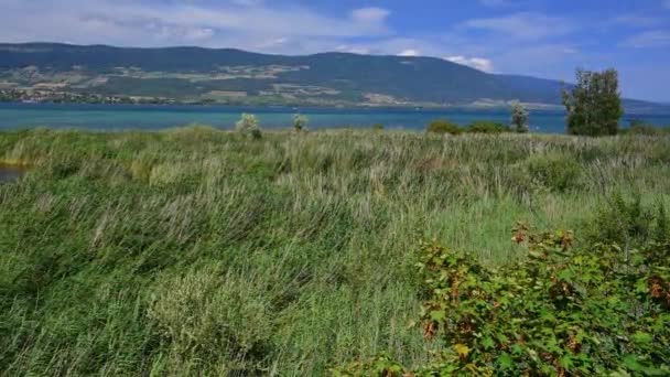 Landschaft Mit Bergen Pflanzen Und Wasser Naturschutzgebiet Sommer Schilf Bewegt — Stockvideo