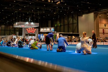 Cenevre, Cenevre Kantonu, İsviçre - 27 Ağustos 2023: Dünya Köpek Fuarı sırasında köpek eğitmeni.