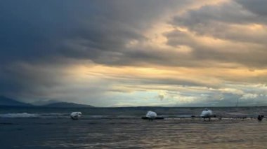 Kuğular dinleniyor ve sudaki tüyleri temizliyor. Üç dilsiz kuğu. Kuğu rengi. Cenevre Gölü, Vaud Canton, İsviçre. Zaman aşımı.