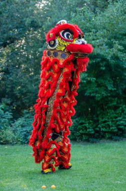 Geleneksel aslan dansı. Bir kırmızı aslan. Çin Yeni Yılı Kutlaması.