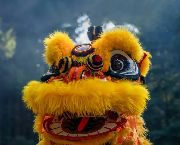 Traditional lion dance. Close-up of one yellow lion mask. Celebration in Chinese New Year.