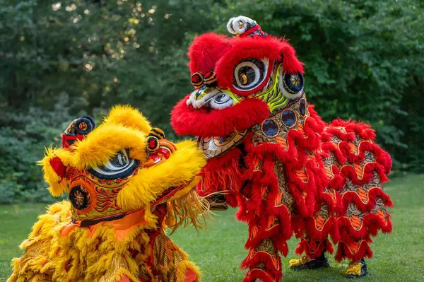 Danse Traditionnelle Lion Lion Jaune Lion Rouge Célébration Nouvel Chinois Photos De Stock Libres De Droits