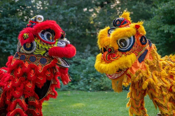 Traditional lion dance. One yellow lion and one red lion. Celebration in Chinese New Year.
