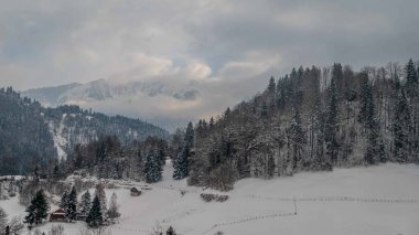 CHATEAU D 'OEX köyünün kış manzarası. Vaud Canton, İsviçre. Dağ, gökyüzü, orman ve İsviçre dağ evi.