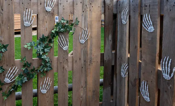 stock image Skeleton Hands Halloween Decoration on Wooden Fence.