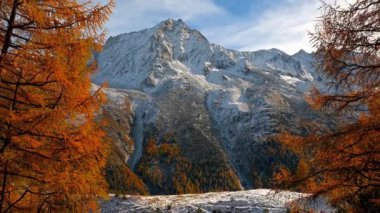 Sonbaharda dağların, gökyüzünün ve ormanın manzarası. Karlı dağ. Gouille, Evolene, İsviçre.