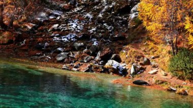  Lac bleu Arolla. Nehir manzarası, mavi göl, İsviçre 'de dağ ve sarı karaçam ağaçları. Gerçek zamanlı..