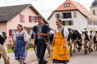 Semsales, Fribourg Canton, SWITZERLAND - October 05, 2024: people and cows decorated by flowers on the annual transhumance at Swiss desalpe festival. clipart