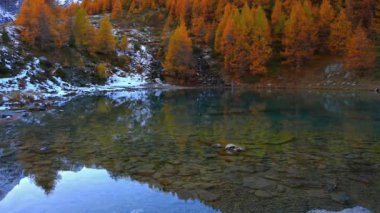Lac bleu Arolla. İsviçre 'de dere manzarası, mavi göl, dağ ve sarı tarla ağaçları.