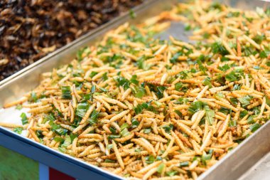 tepside Beetle Fried Worms bir sürü