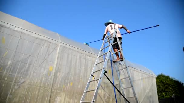 Der Mann Reinigt Das Plastikdach Eines Gewächshauses Vor Der Pflanze Lizenzfreies Stock-Filmmaterial