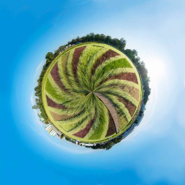 Günbatımında 360 farklı renkte pirinç tarlası panorama süreci biçimi   