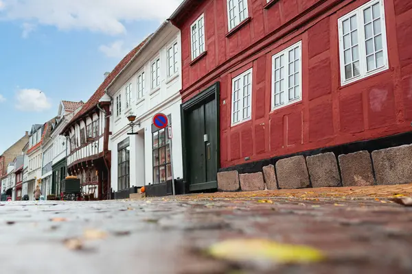 Eski Odense kasabasındaki Nedergade caddesinin genel manzarası. 16. yüzyıldan kalma binalarla.