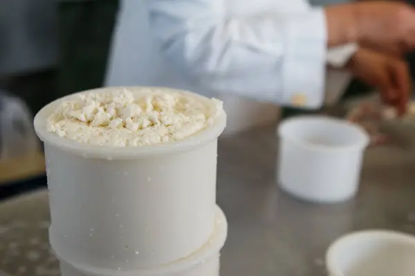 Production of artisanal cheese, rennet and packaging in molds to shape