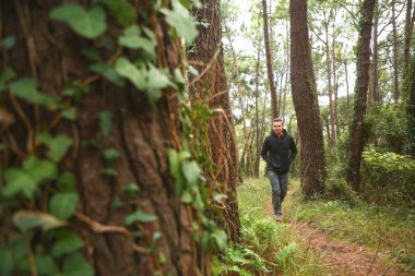 Çam ormanında sakince yürüyen 45 yaşında bir adam.