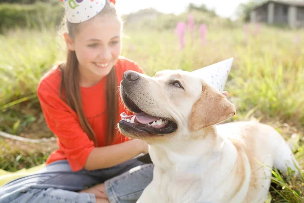 Labrador dogs - a birthday, a portrait of a dog in a festive cap close-up, in nature, the background with the girl is blurred.