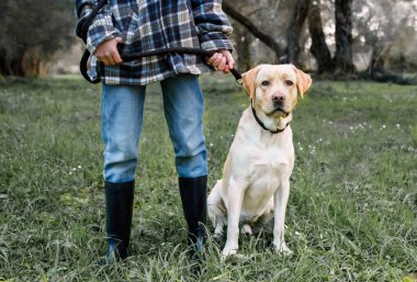 Kotlu ve siyah lastik çizmeli (belki yağmurdan sonra) bir ormanda bir labrador tasmalı bir kızın görüntüsü.