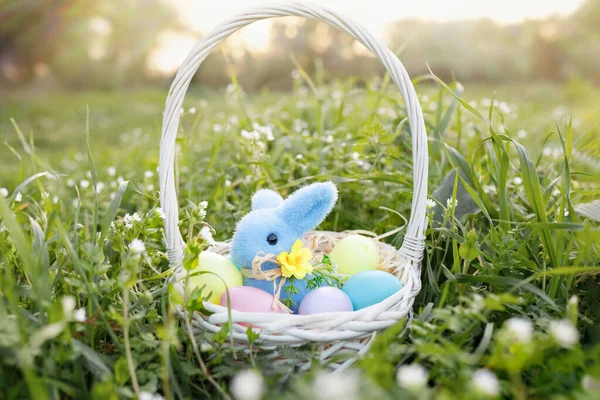 Happy Easter. Basket with blue rabbit and easter eggs in the grass on a sunny spring day - easter decoration