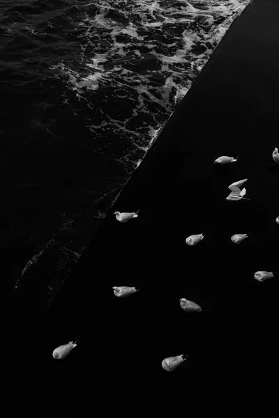 Karadeniz 'de beyaz tekne