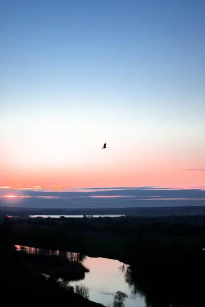 Gün batımında güzel bir kuş görüntüsü.