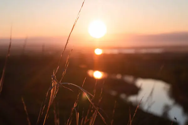 Tarlada gün batımı