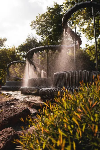 Parktaki bir su bidonunun dikey görüntüsü.