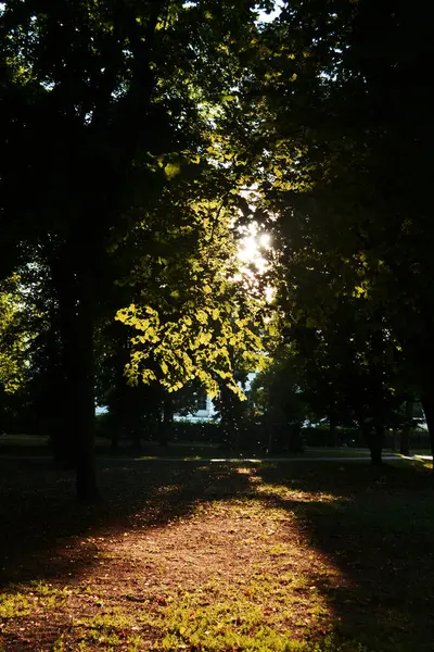 Akşam sonbahar park.